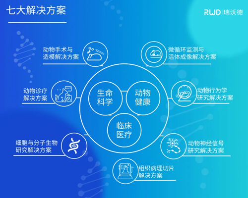 ob体育官网登录界面
