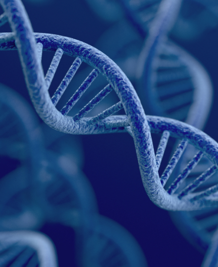 ob体育官网登录界面
生命科学