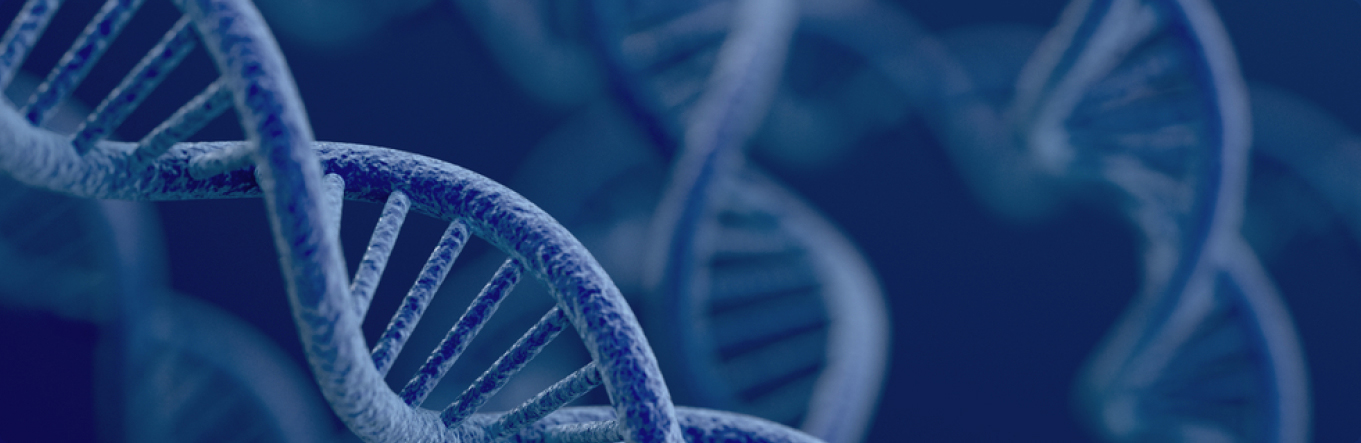 ob体育官网登录界面
生命科学