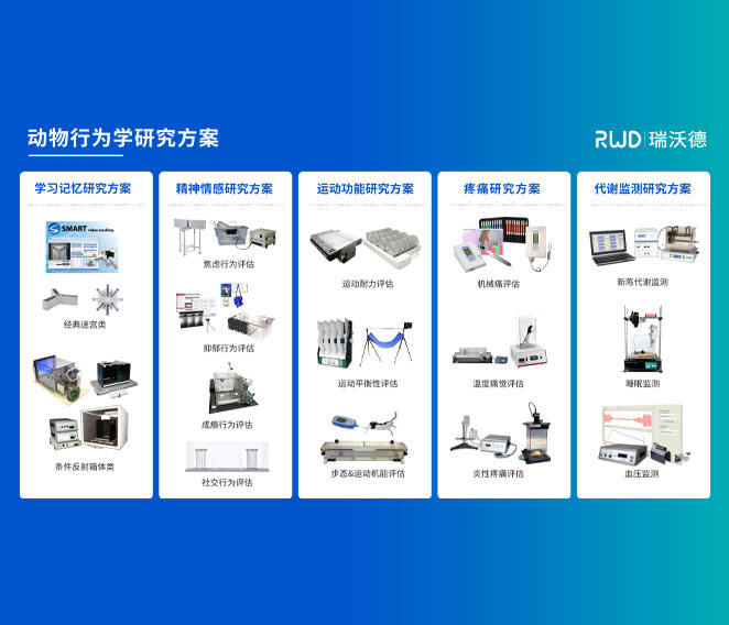 行为评估方案