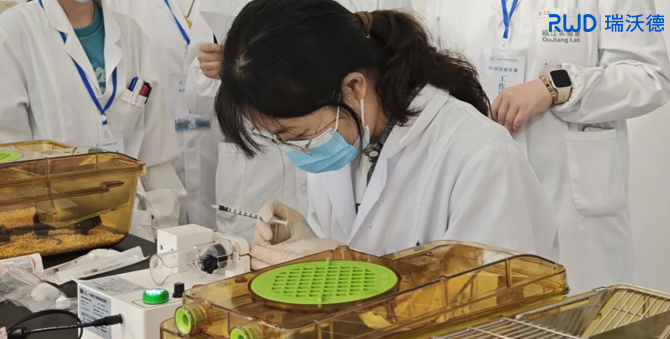 ob体育官网登录界面
