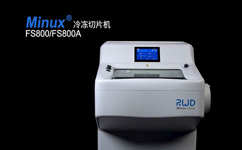 二氧化碳培养箱