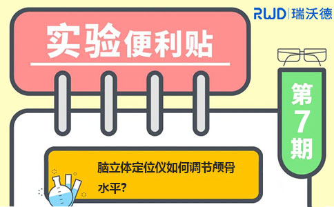 脑立体定位仪如何调节颅骨水平？