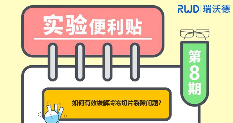 如何有效缓解冷冻切片裂隙问题？