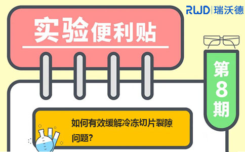 如何有效缓解冷冻切片裂隙问题？