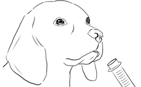 【行业标准】犬猫氧气疗法技术规范全部解答