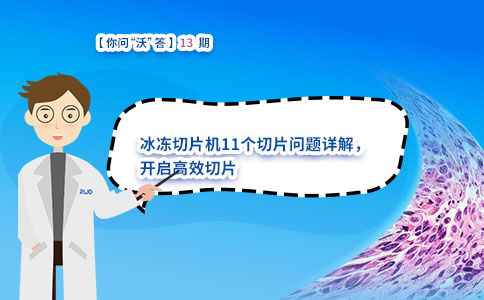 冰冻切片机11个切片问题详解，开启高效切片
