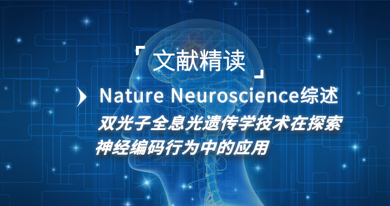 双光子全息光遗传学技术在探索神经编码行为中的应用