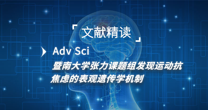 运动抗焦虑的表观遗传学机制