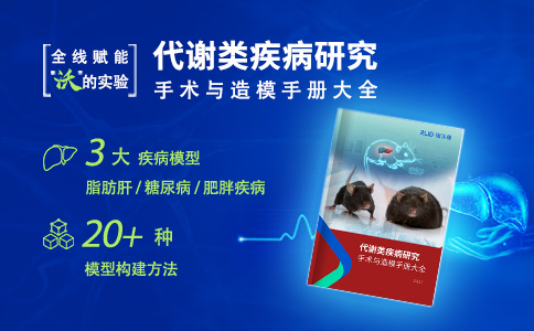 代谢类疾病研究手术与造模手册大全