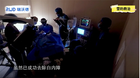 ob体育官网登录界面
动物麻醉机助力西宁动物医院完成世界首例雪豹白内障手术