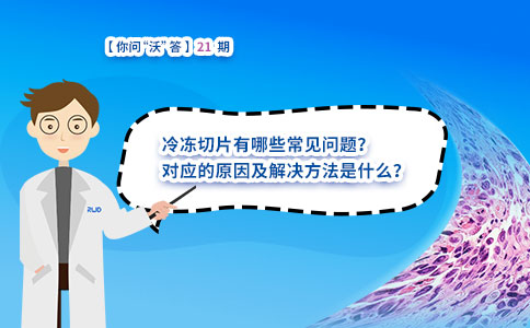 冷冻切片有哪些常见问题？对应的原因及解决方法是什么？ 