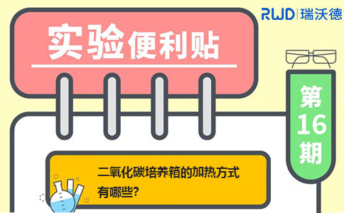 二氧化碳培养箱的加热方式有哪些？ 