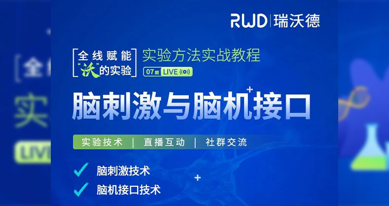 解锁脑科学界热门技术