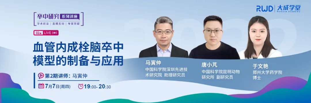 血管内成栓脑卒中模型的制备与应用