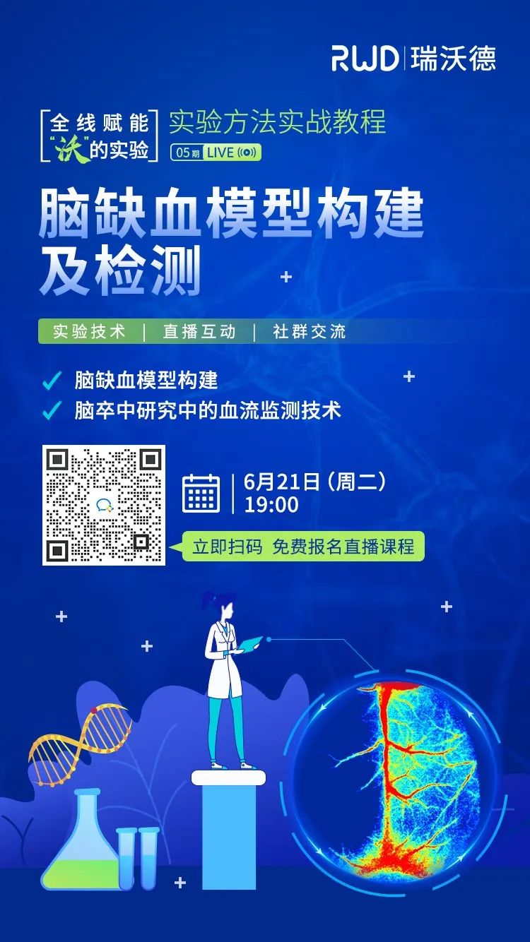 精彩不容错过