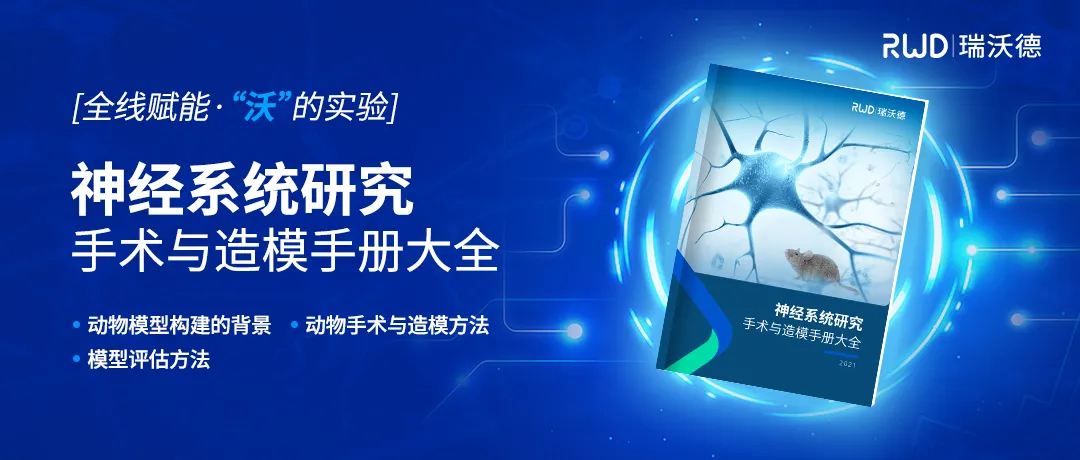 神经系统研究