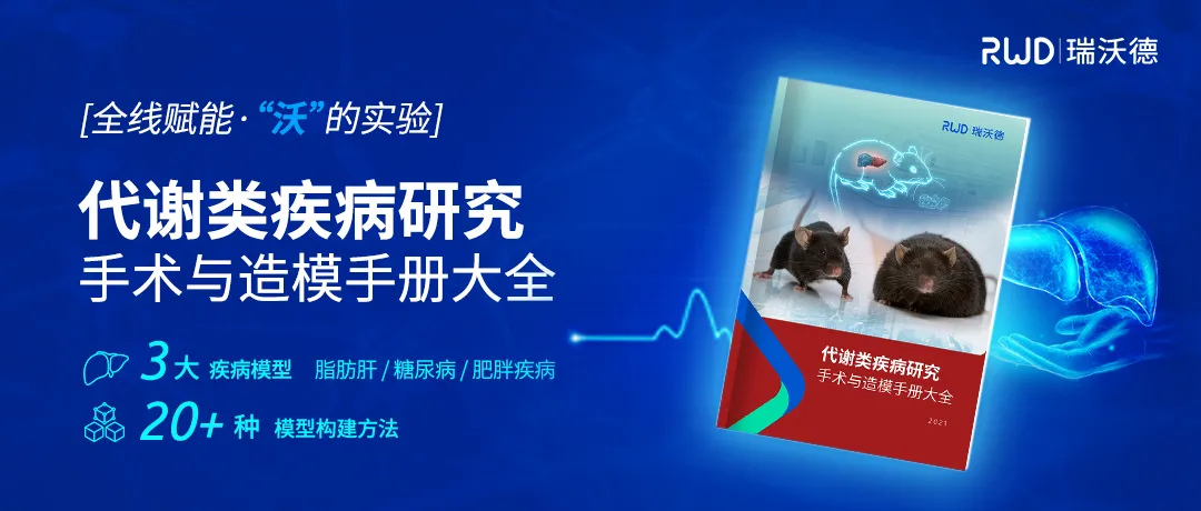 代谢类疾病研究