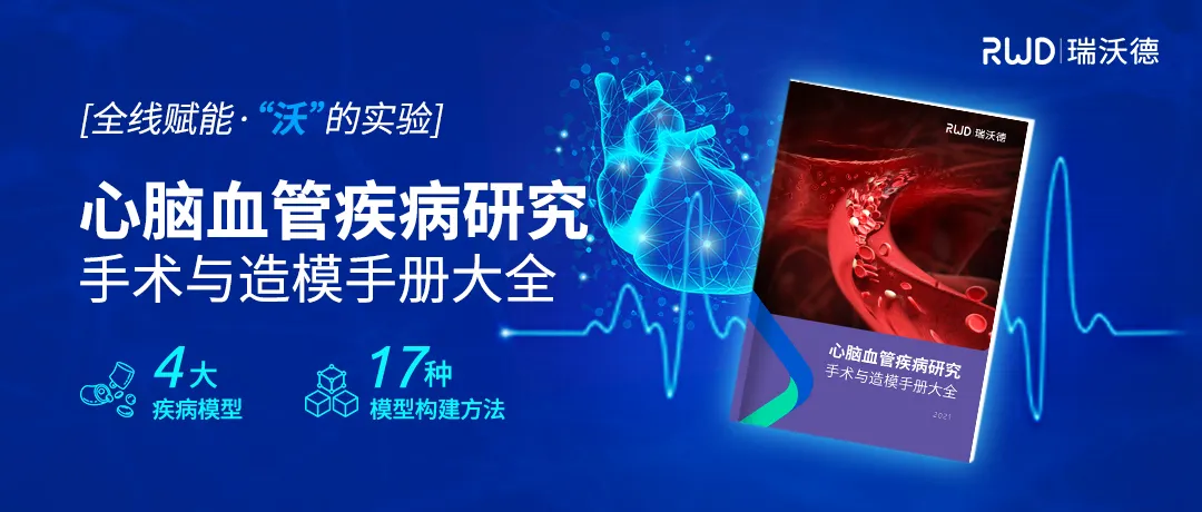 心脑血管疾病研究
