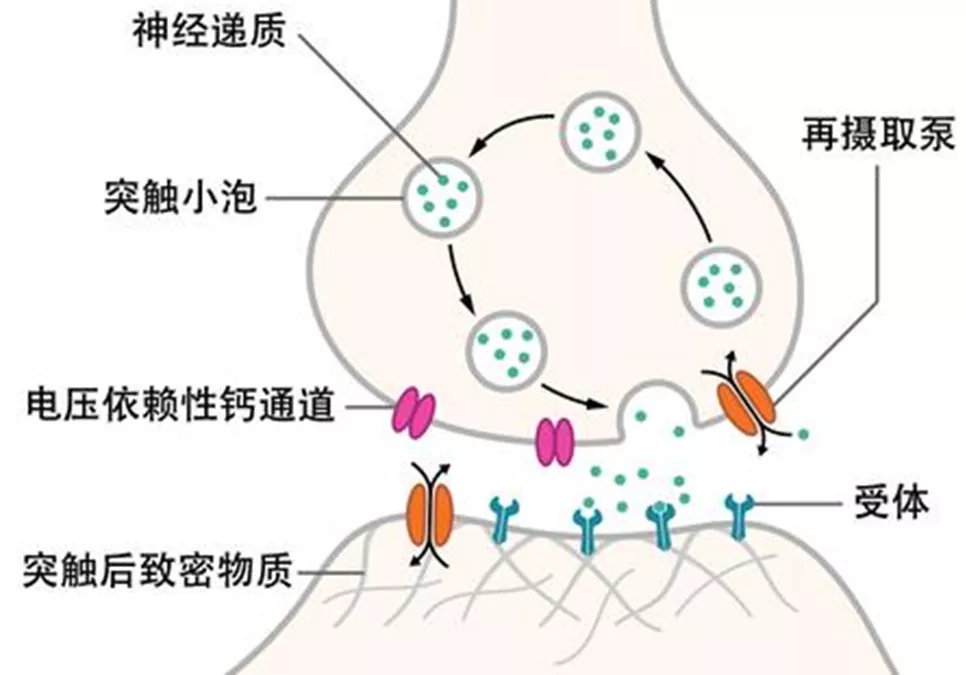 信息的逐级传递