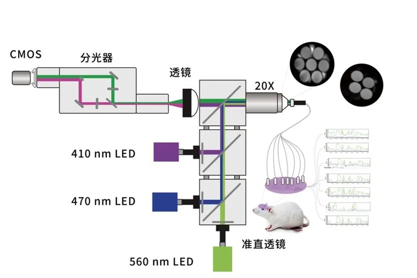 光纤记录工作原理