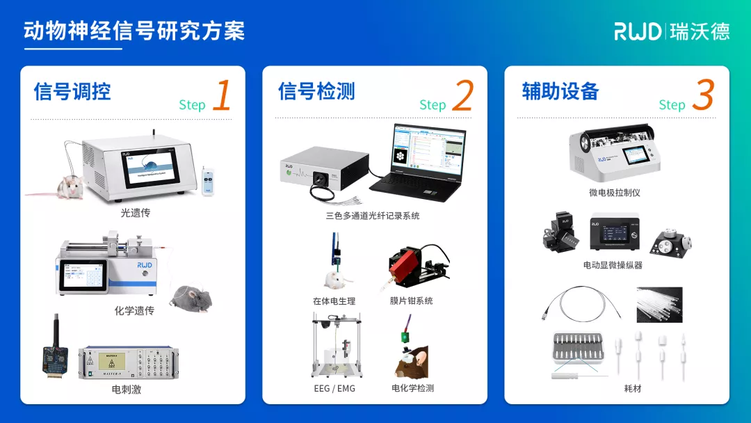 动物神经信号研究方案