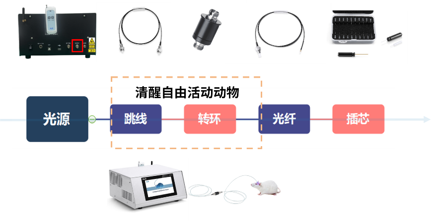 光遗传实验耗材搭配