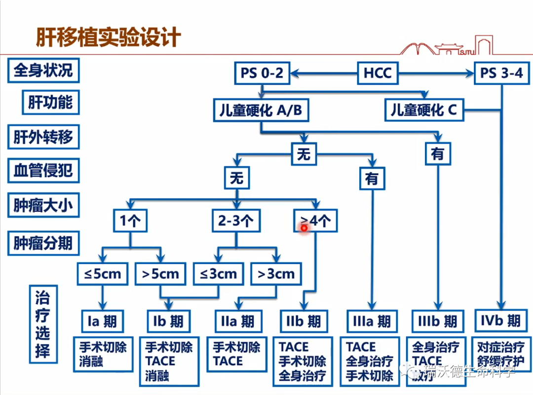 肝移植实验设计
