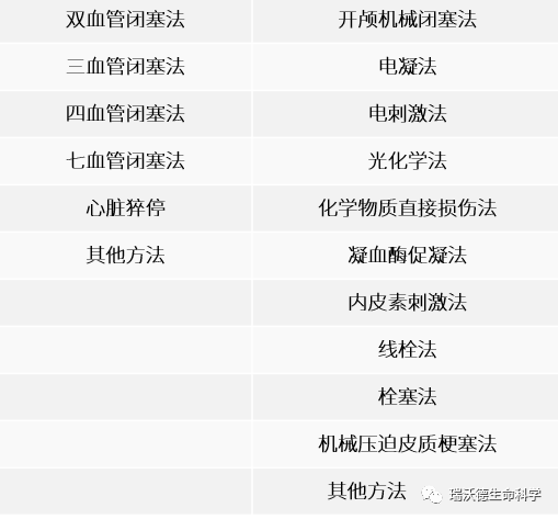 脑缺血动物模型手术方法