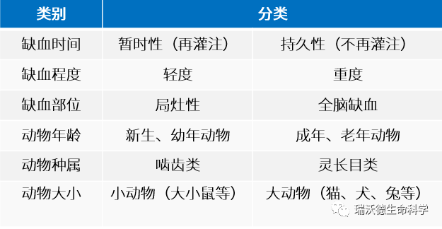 脑缺血动物模型分类