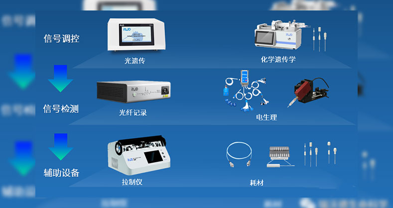 ob体育官网登录界面
神经环路解决方案，打造神经科学新基石