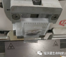 无法连片，切不出蜡带