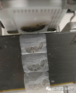 切片厚薄不均
