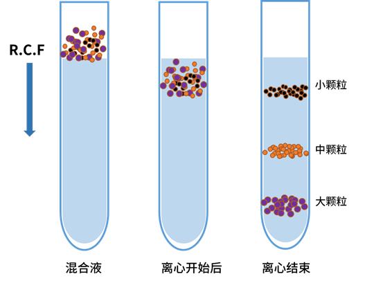速率区带离心示意图
