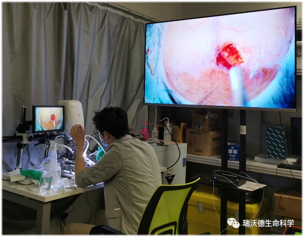 实操培训