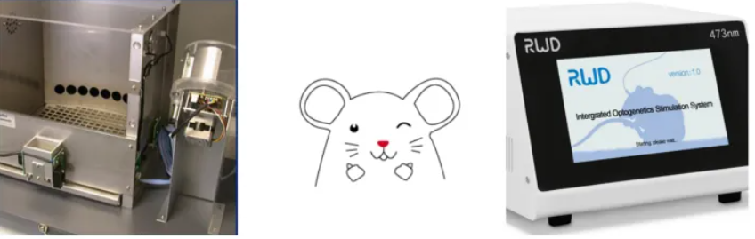 光遗传技术