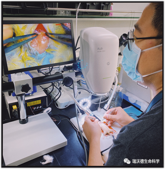 正在操作