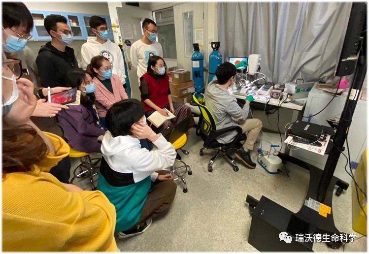 同学围观
