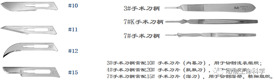 手术刀
