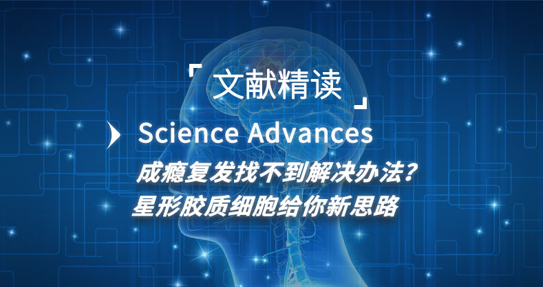 成瘾复发找不到解决办法？星形胶质细胞给你新思路