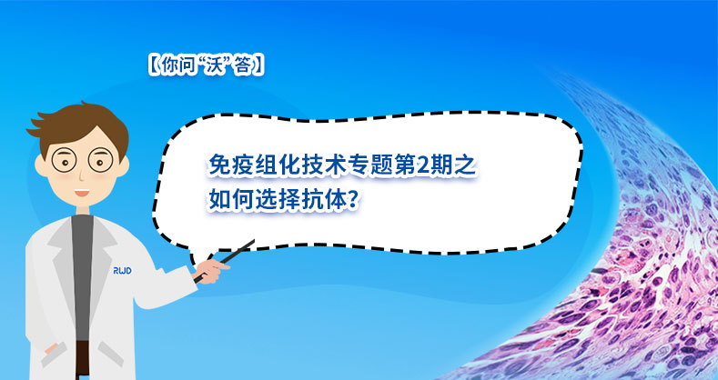 免疫组化技术专题第2期之如何选择抗体？