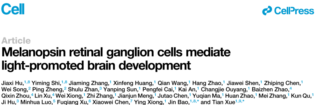 适宜的光刺激可促进新生期大脑发育