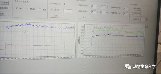 原始荧光数据