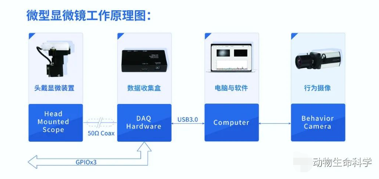 微型显微镜