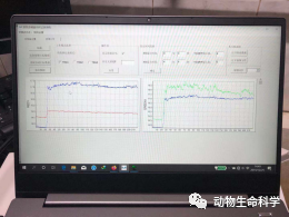 较为明显的多巴胺信号变化
