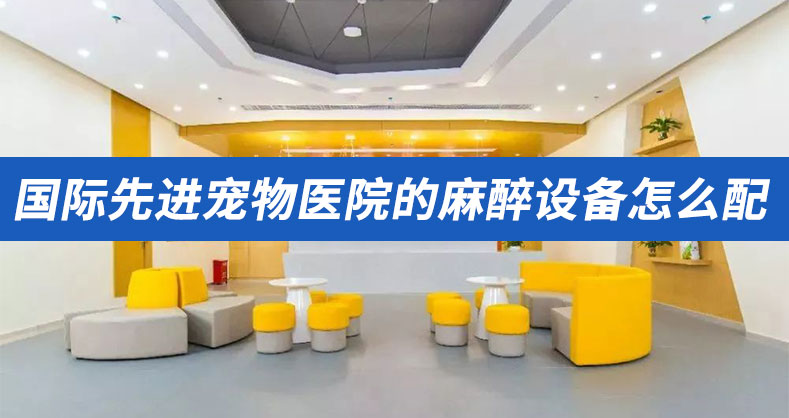 1分钟带您了解国际先进宠物医院的麻醉设备怎么配