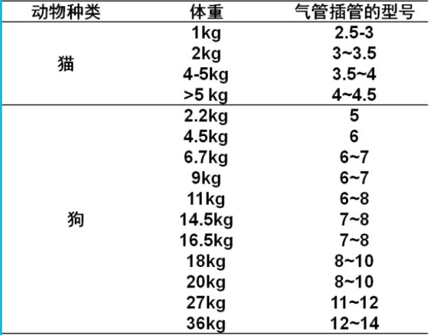 气体插管的选择
