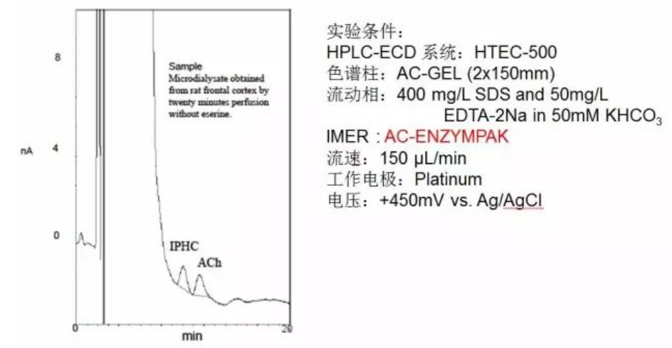 大鼠额叶皮层微透析样品中乙酰胆碱的检测