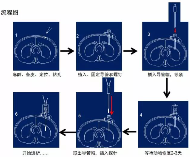 操作步骤