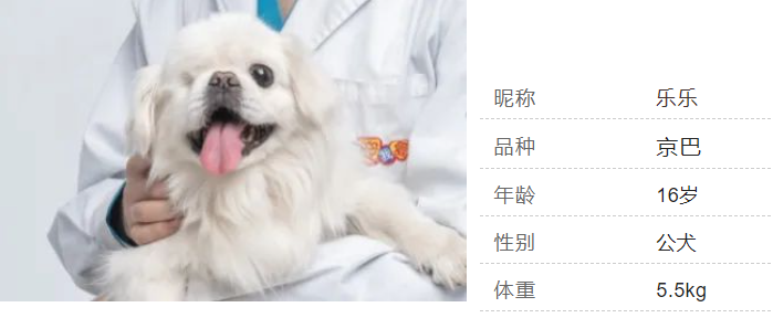 萌宠信息